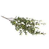 Frosted Myrtle Stem