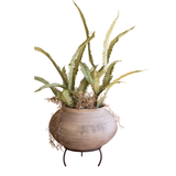 Rounded Clay Urn