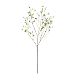 Budding Leaf Stem