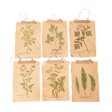 Pressed Fern Art