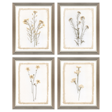 Brown Petals Art