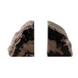 Petrified Wood Bookends