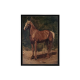 Chestnut Horse