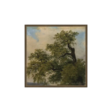 Painted Trees