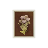 Lilac Dahlia on Brown