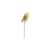 Dried Hydrangea Spray