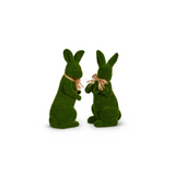 Moss Rabbit