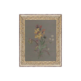 French Wildflower Art
