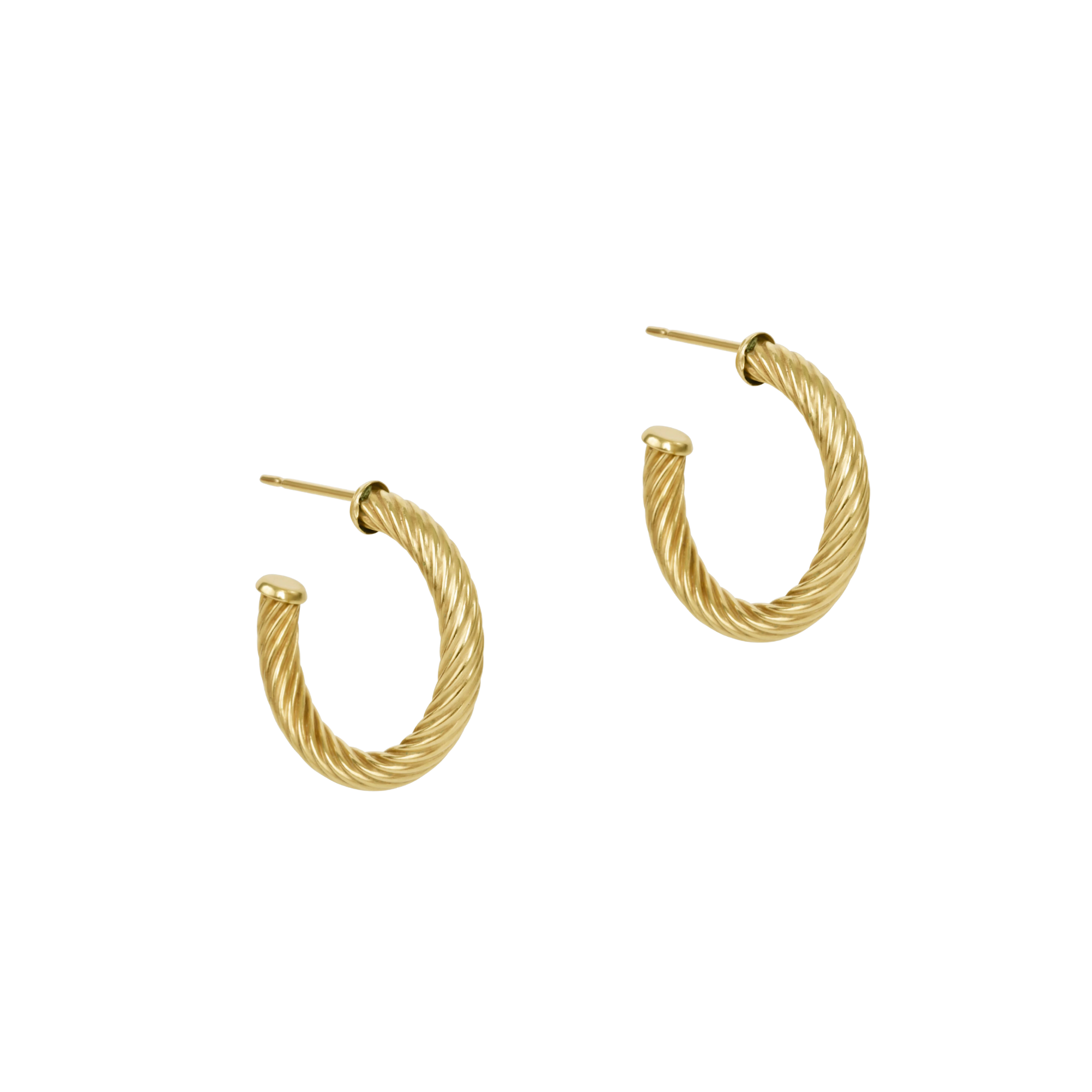 enewton Earrings