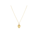 enewton 16" Gold Necklace