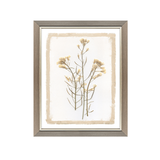 Brown Petals Art