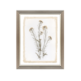 Brown Petals Art