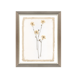 Brown Petals Art