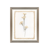 Brown Petals Art