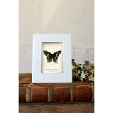 Photo Frame 4x6 White Marble