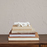 Stoneware Grasshopper