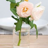 Highball Vase