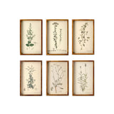 Vintage Botanical Print Art